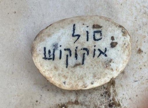 סול אוקוקוש (צילום: חנה מורג)