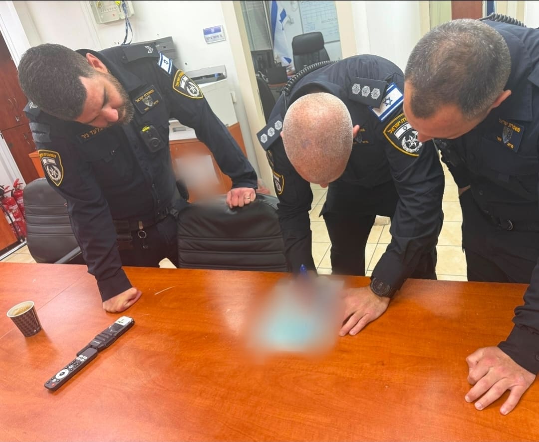 מגבירים את תחושת הביטחון (צילום: משטרת ישראל)