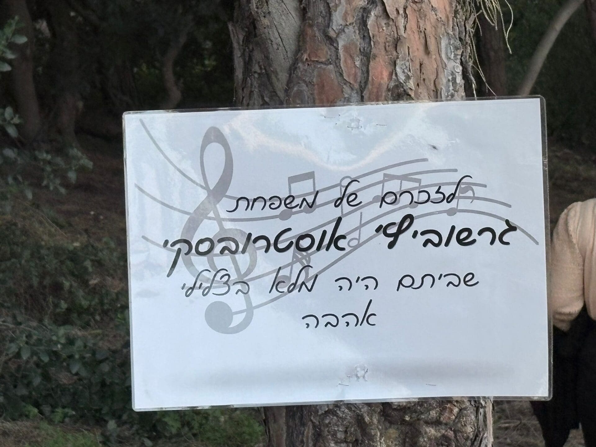 החורשה לזכרה של משפחת גרשוביץ' (צילום: מיכל גרובר)