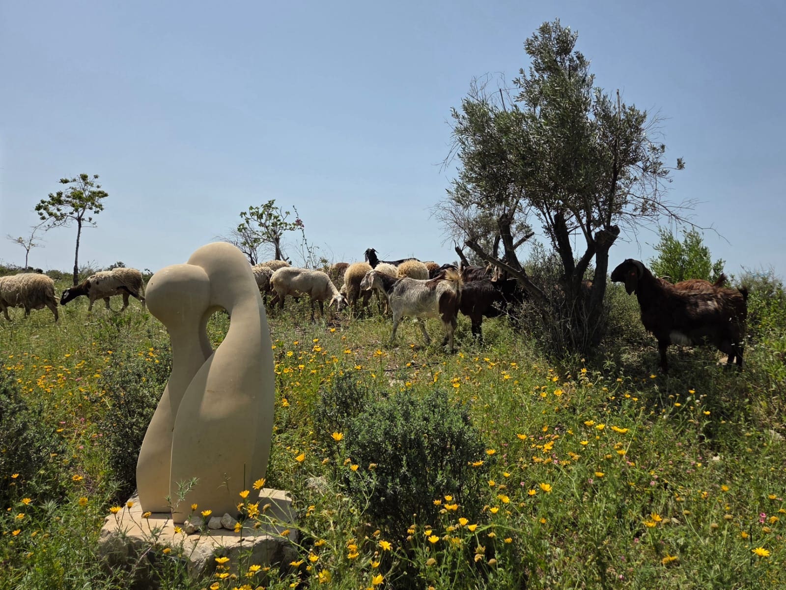 האנדרטה לזכר הזוג רווה במעלה רחוב ויינשל בואכה פרויד (צילום: יעל הורוביץ)