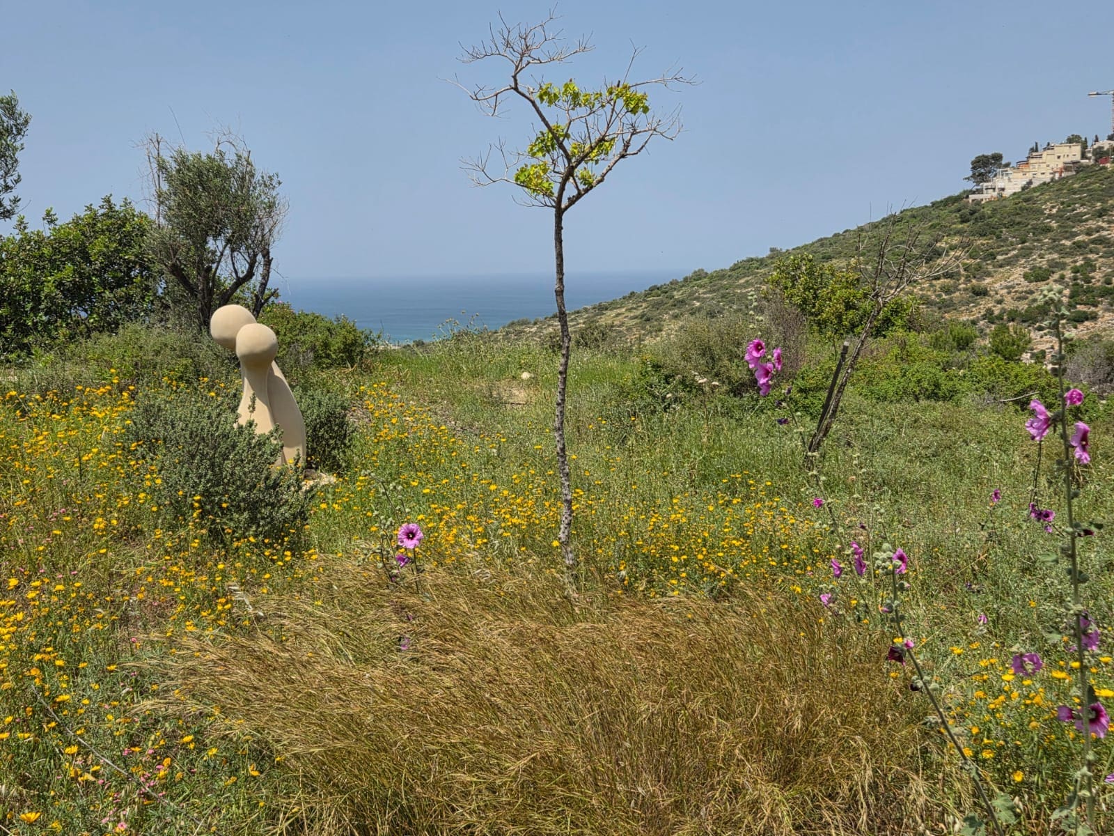 האנדרטה לזכר הזוג רווה במעלה רחוב ויינשל בואכה פרויד (צילום: יעל הורוביץ)