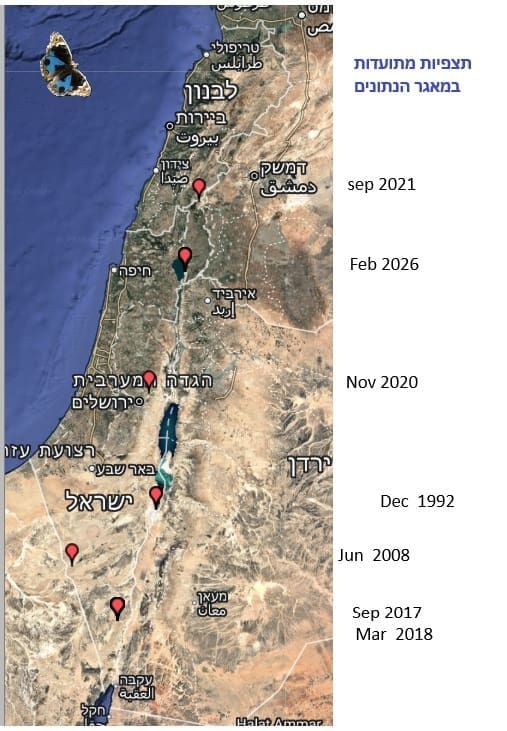 תצפיות בנימפית הכחולה