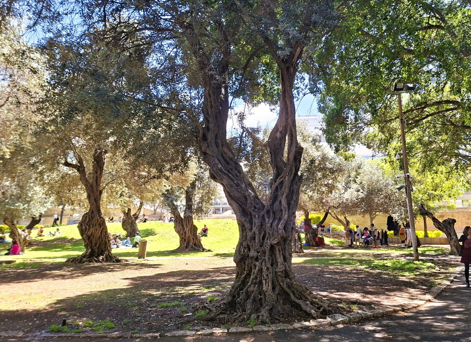 גן בנימין - הוקם כבר בשנת 1923 בתכנונו של האדריכל ריכרד קאופמן (צילום: רחלי אורבך)