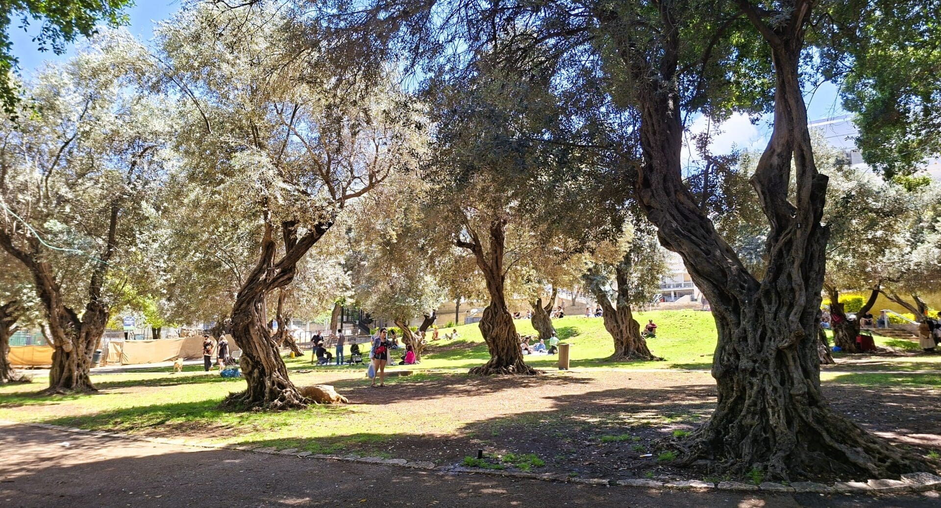 גן בנימין - הוקם ב 1923 בתכנונו של האדריכל ריכרד קאופמן (צילום: רחלי אורבך)