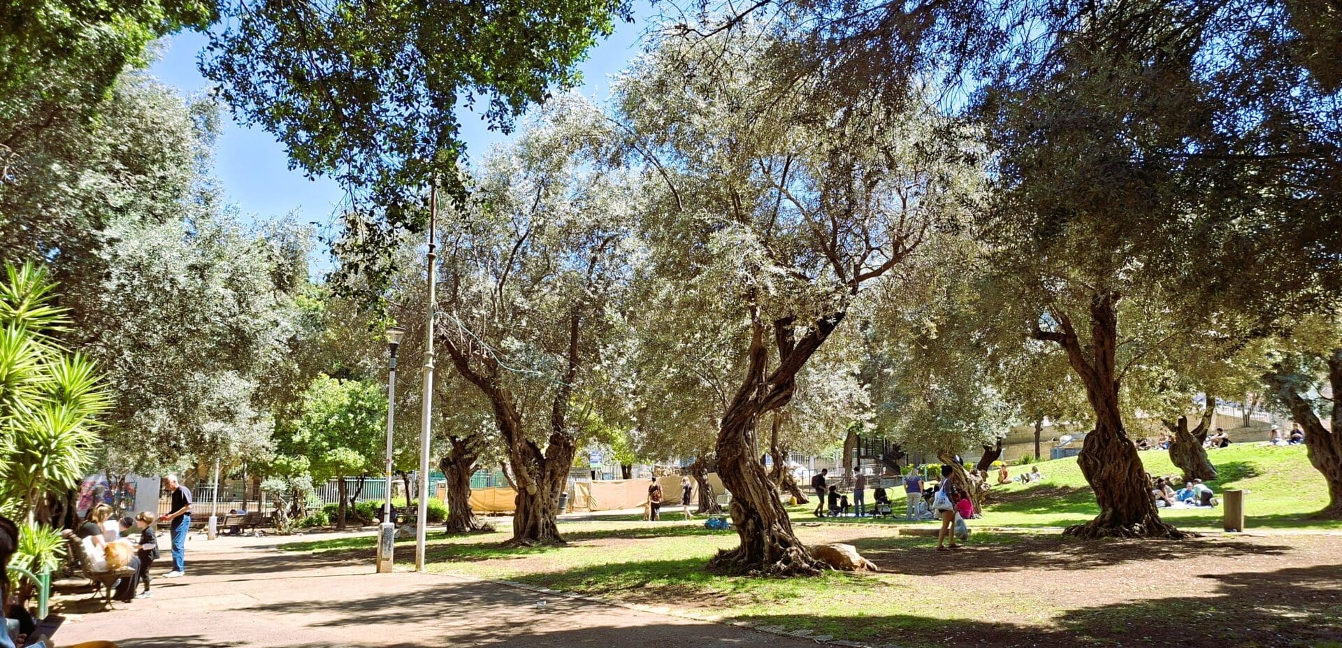 גן בנימין - טבע בתוך מרחב בנוי (צילום: רחלי אורבך)