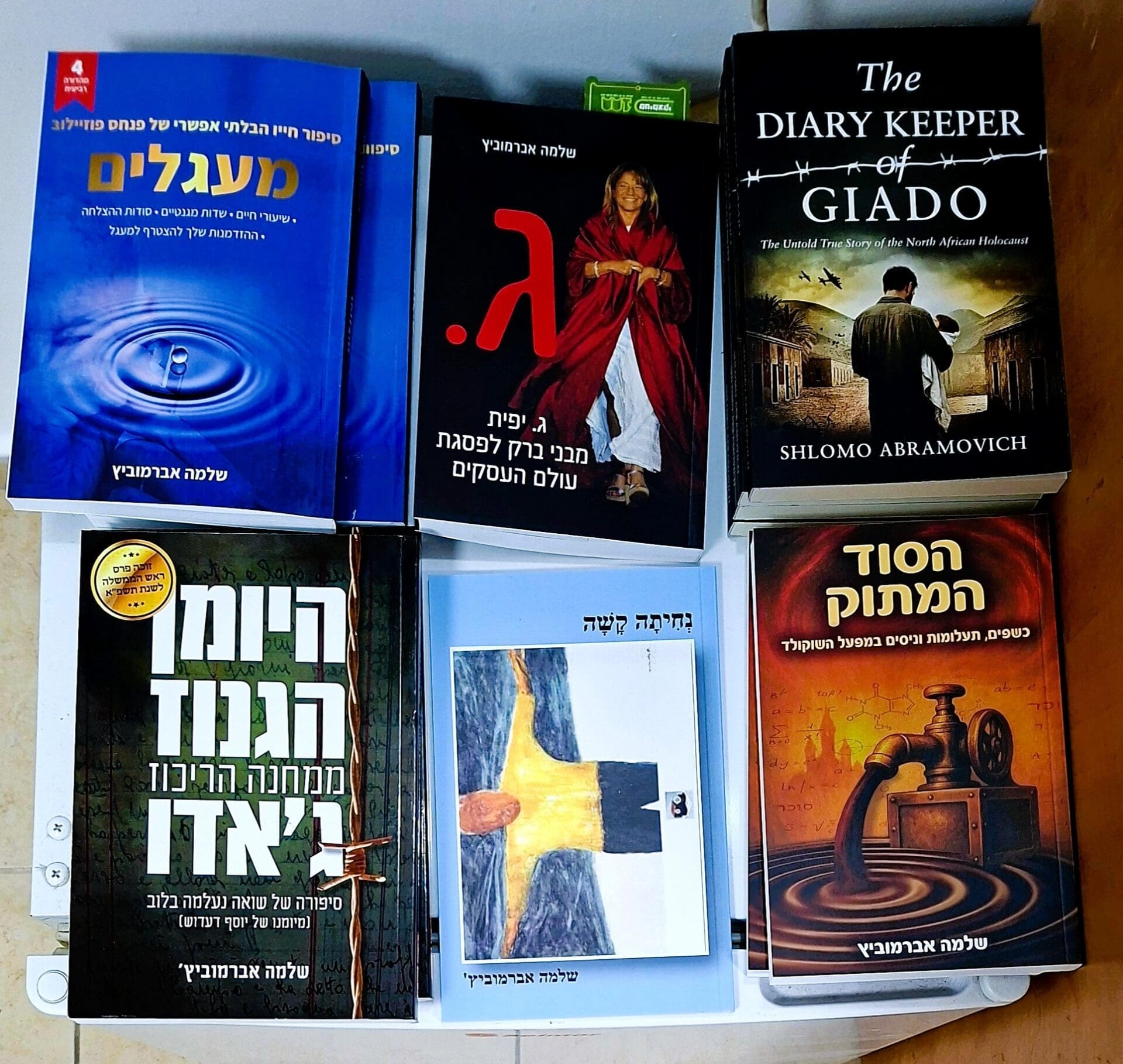 בבית שלמה אברמוביץ - חלק קטן מתוך מכלול כתבי אברמוביץ (צילום: רחלי אורבך)