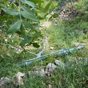 סיירת גבעתי חשפה מצבור רקטות ומשגרים של חיזבאללה בדרום לבנון – שגר רקטות של חיזבאללה מונח בסבך 4/5/26 (צילום: דובר צה״ל)