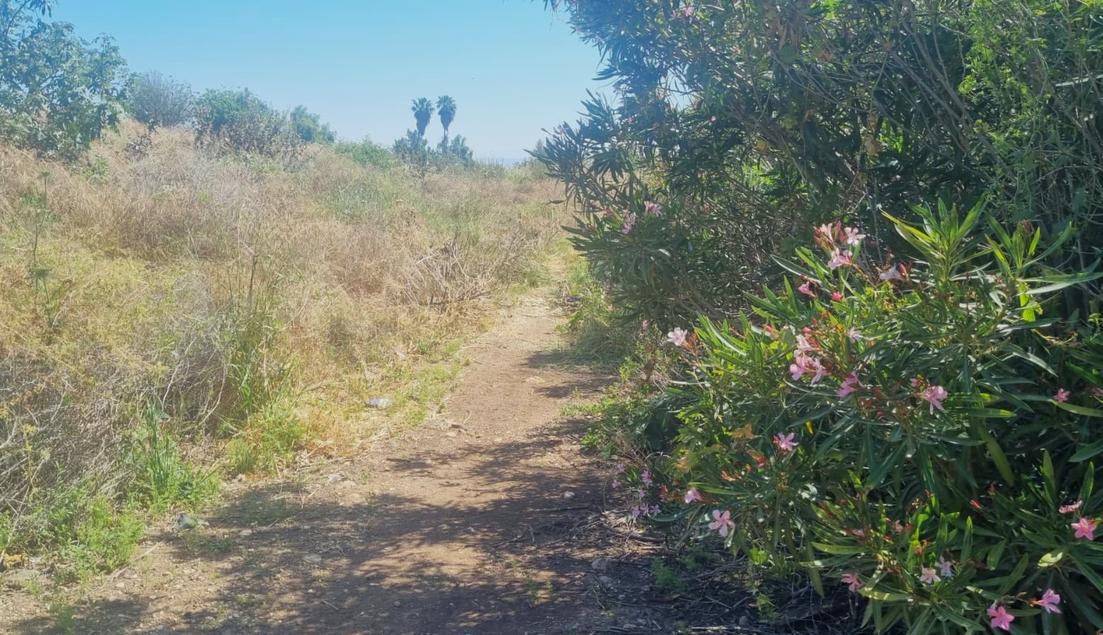 מקטע שביל סובב כינרת מחוקוק צפון לגינוסר (צילום: דניאל וקנין, איגוד ערים כינרת)