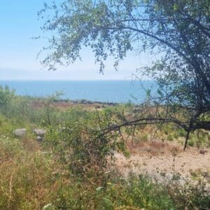 מקטע שביל סובב כינרת מכפר נחום לטבחה (צילום: דניאל וקנין, איגוד ערים כינרת)