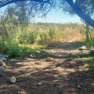 מקטע שביל סובב כינרת מחוקוק צפון לגינוסר (צילום: דניאל וקנין, איגוד ערים כינרת)