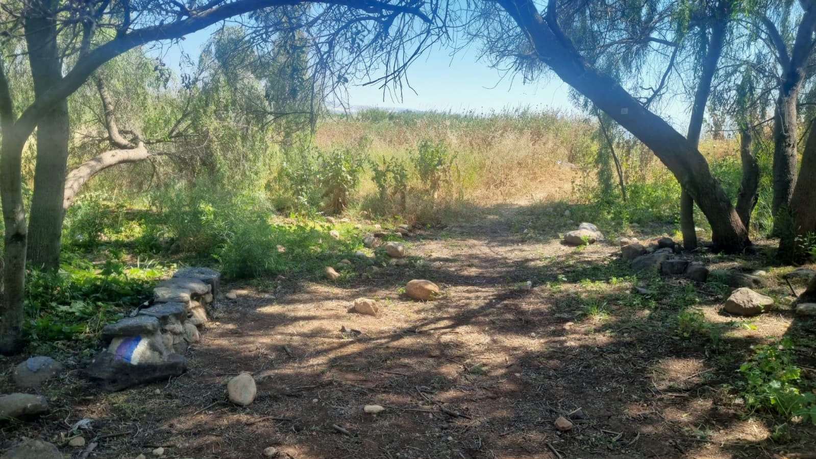 מקטע שביל סובב כינרת מחוקוק צפון לגינוסר (צילום: דניאל וקנין, איגוד ערים כינרת)