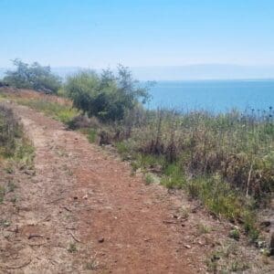 מקטע שביל סובב כינרת מכפר נחום לטבחה (צילום: דניאל וקנין, איגוד ערים כינרת)