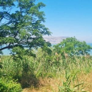 מקטע שביל סובב כינרת מהאון למעגן  (צילום: דניאל וקנין, איגוד ערים כינרת)