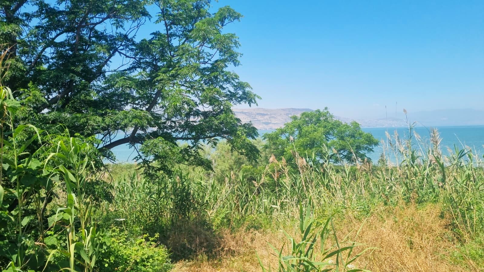 שלושה מסלולים מומלצים בשביל סובב כינרת לטיול אביבי 5/5/26 (צילום: דניאל וקנין, איגוד ערים כינרת)