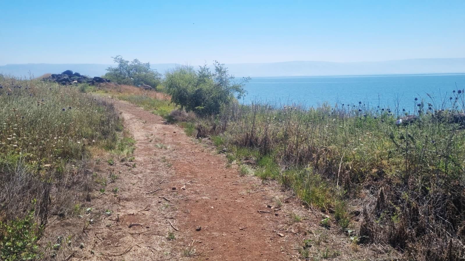 שלושה מסלולים מומלצים בשביל סובב כינרת לטיול אביבי 5/5/26 (צילום: דניאל וקנין, איגוד ערים כינרת)