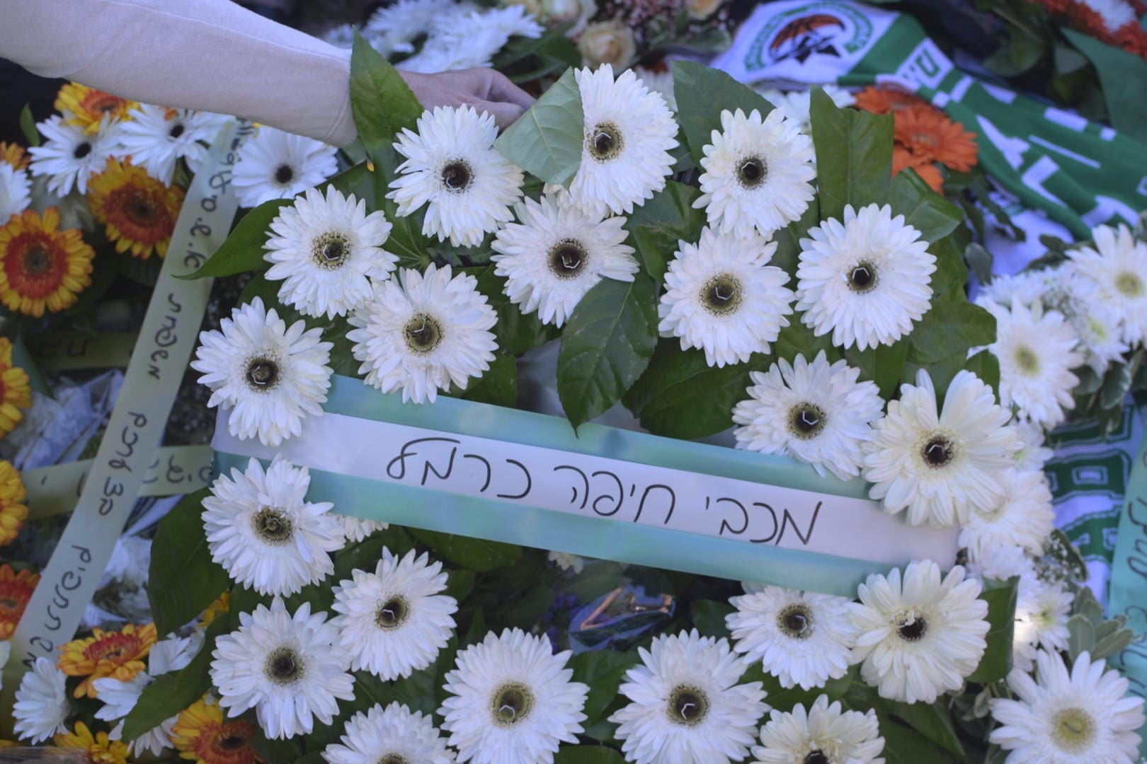דניס נפטר אוהד שרוף של מכבי חיפה סל. נפטר ממחלת הסרטן(צילום חגי תא אברהם)