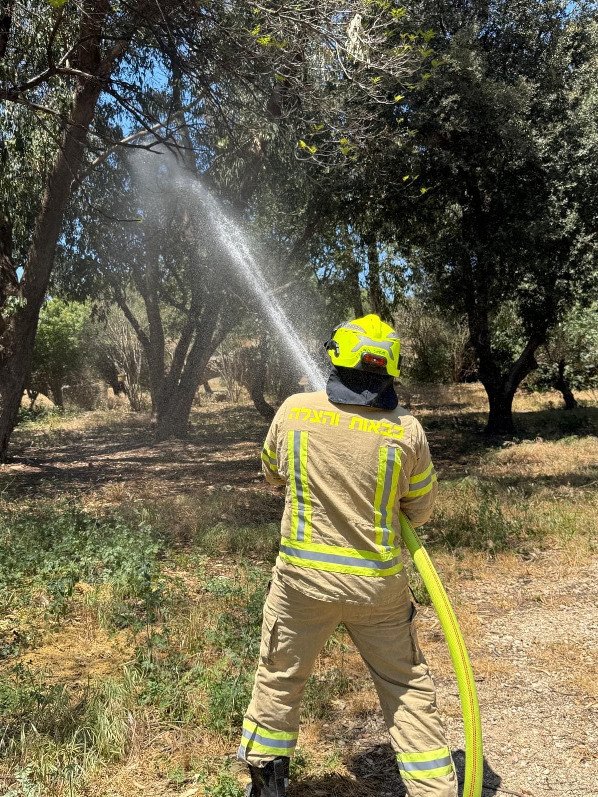 תרגילי כבאות רחבי היקף באזור חיפה והכרמל לקראת עונת השריפות - דוברות כבאות והצלה לישראל | מחוז חוף 7/5/26 (צילום: כבאות והצלה לישראל)