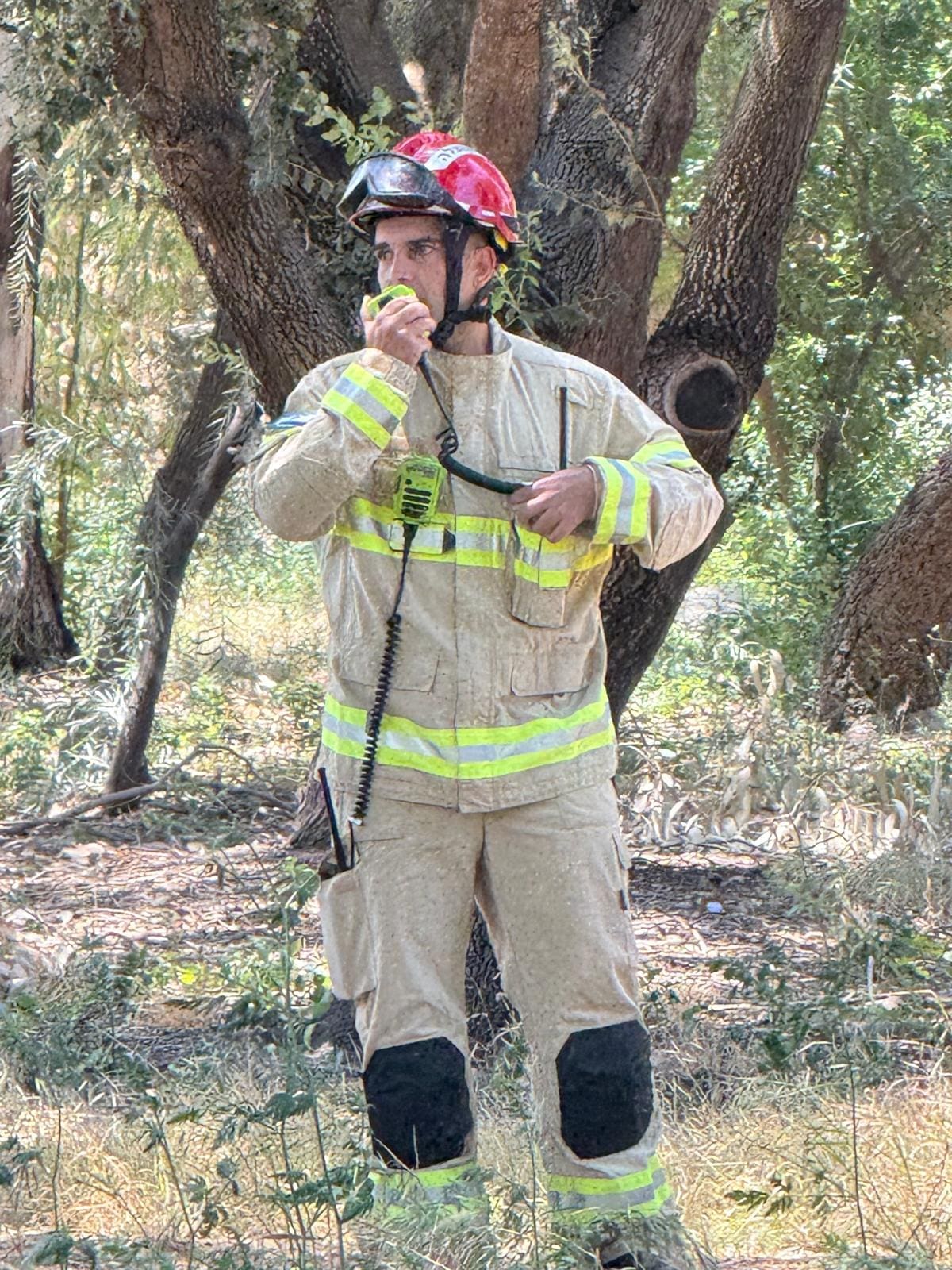 תרגילי כבאות רחבי היקף באזור חיפה והכרמל לקראת עונת השריפות - דוברות כבאות והצלה לישראל | מחוז חוף 7/5/26 (צילום: כבאות והצלה לישראל)