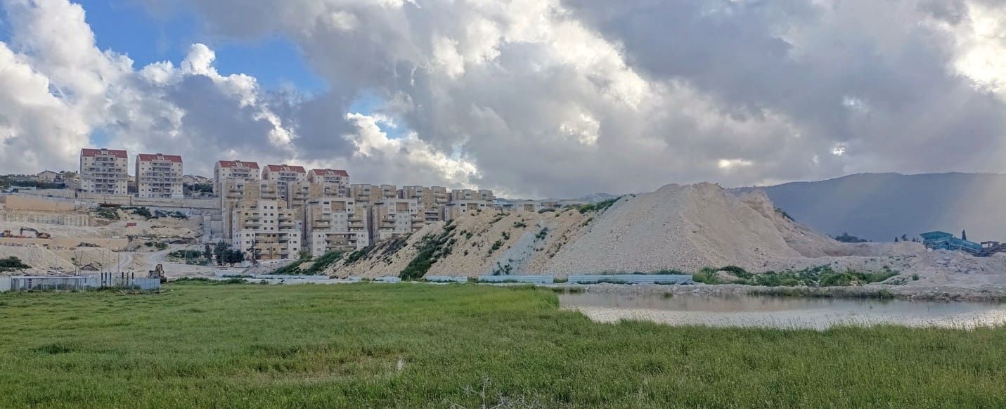 אתר בניה - על ציפורים ועל אנשים (צילום: נועה בלטר)