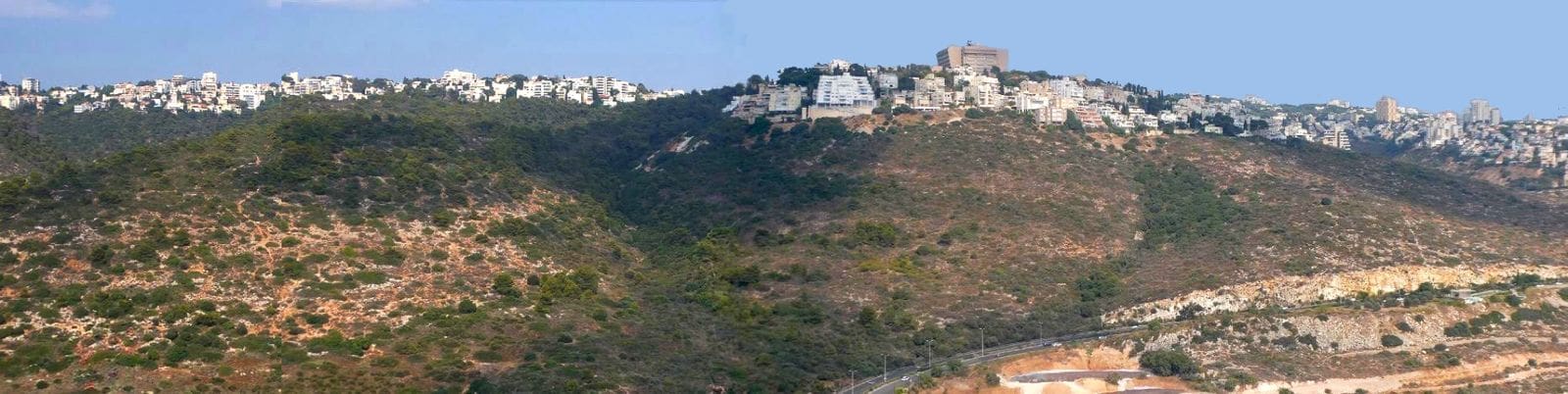 מורדות לינקולן: תכנית לבניה של כ-2800 יח״ד על 700 דונם וכריתה של כ-4000 עצים (צילום: ההר הירוק)