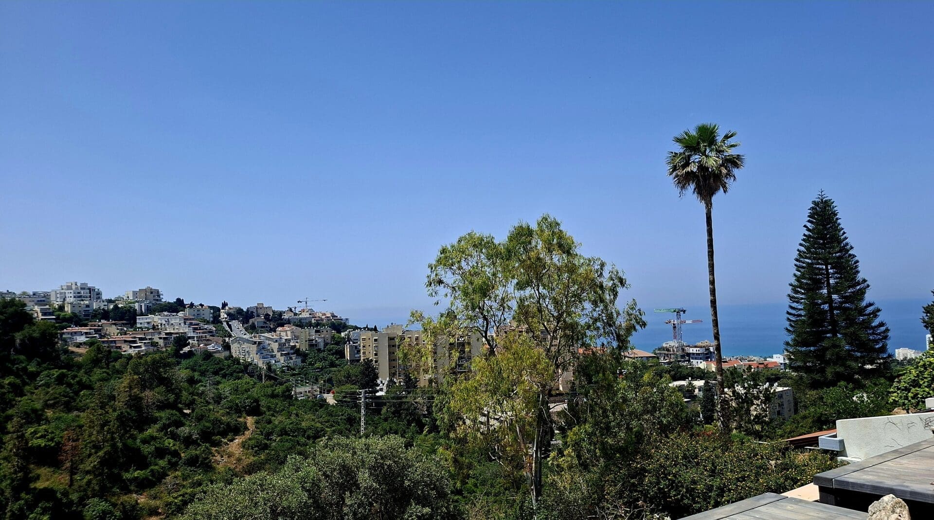 בבית רותי ספרוני - שמיים, ים, הר וגיא (צילום: רחלי אורבך)