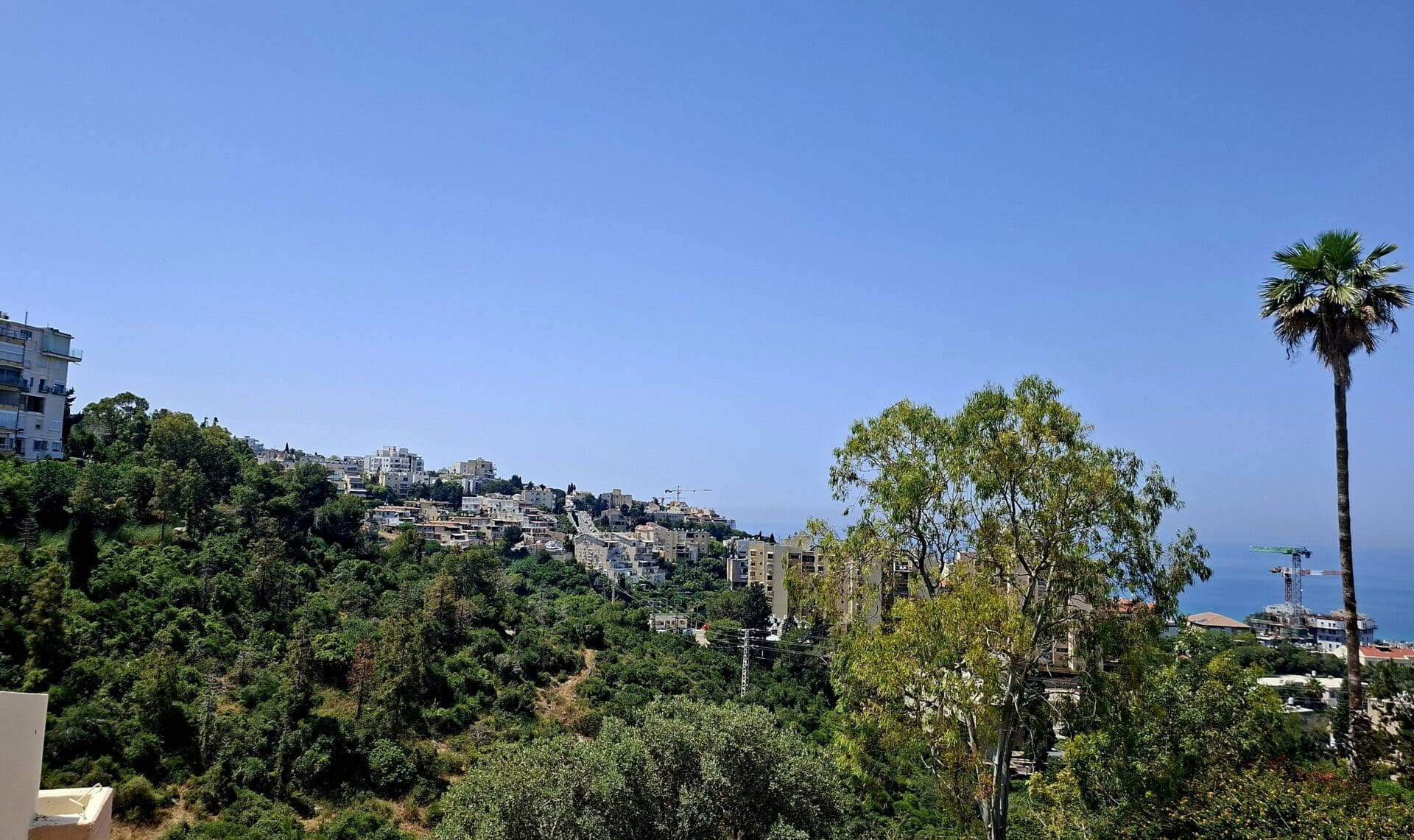 בבית רותי ספרוני - מבט אל כחול הים וירוק ההר (צילום: רחלי אורבך)