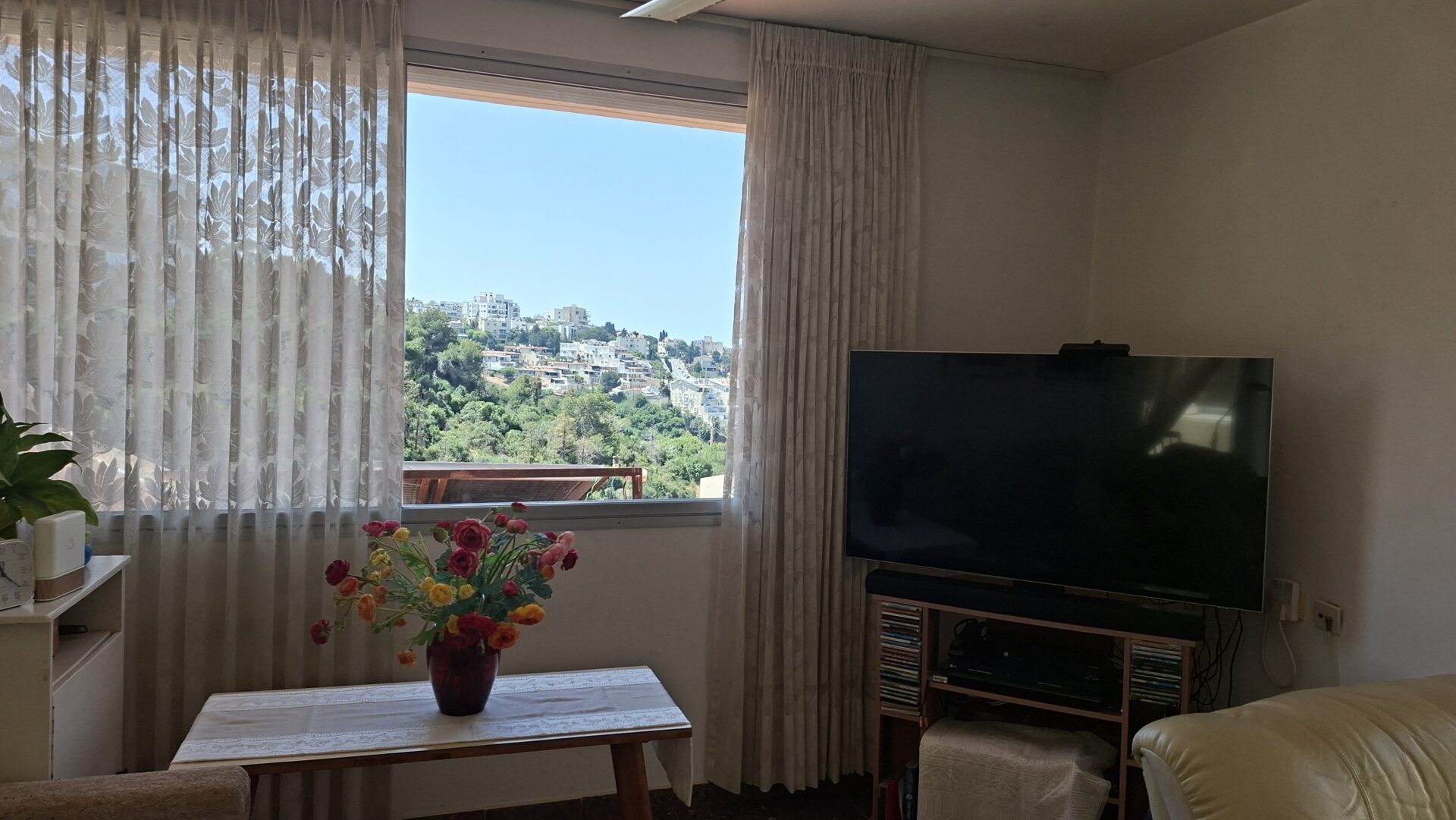 בבית רותי ספרוני - מבט אל נוף הר הכרמל (צילום: רחלי אורבך)