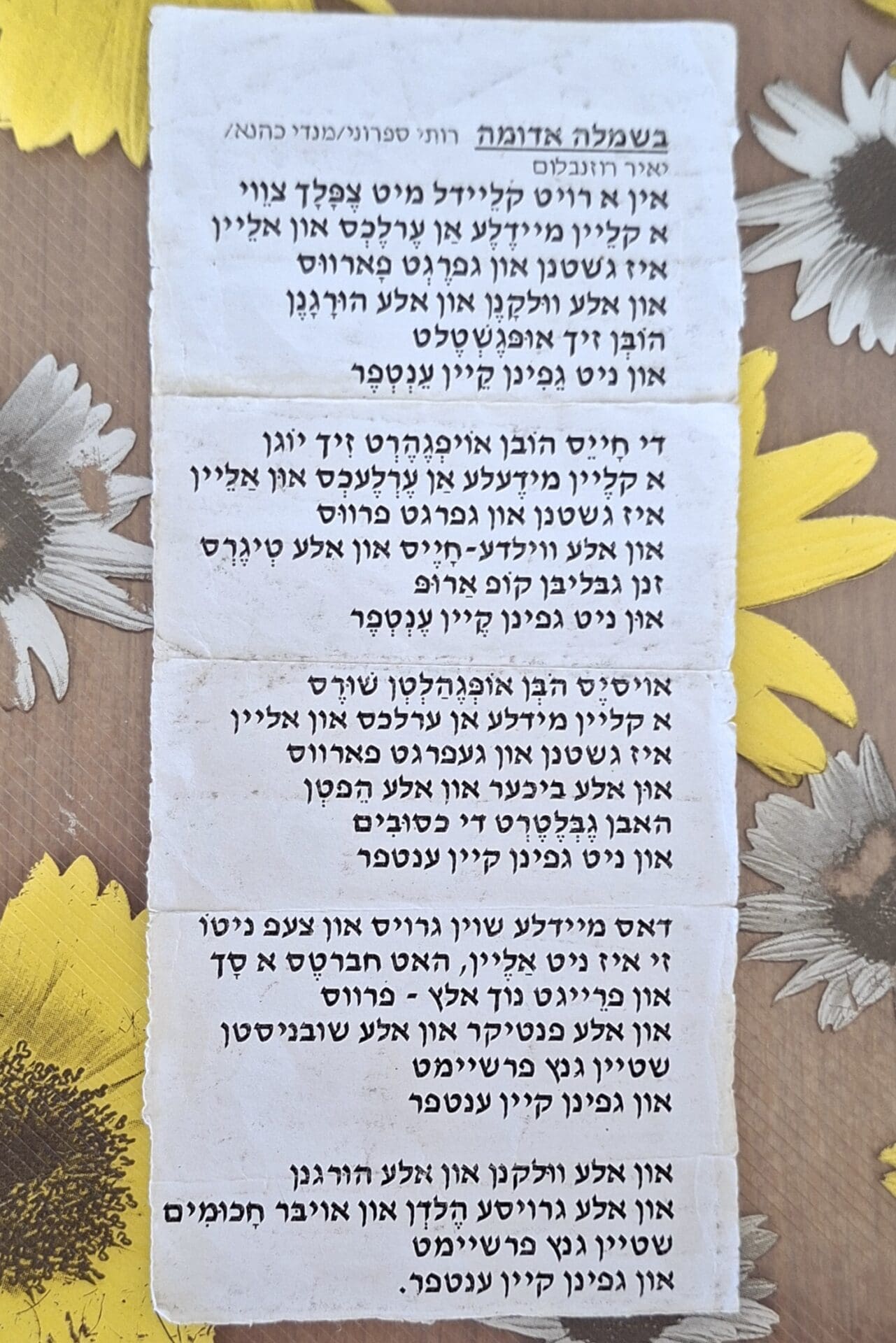 בבית רותי ספרוני - דף השיר "בשמלה אדומה" ביידיש (צילום: רחלי אורבך)