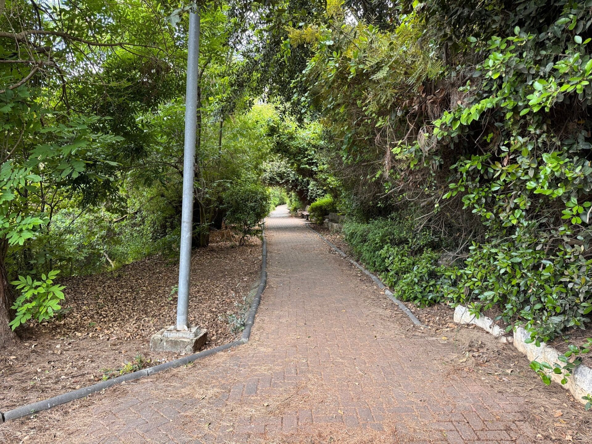 הטיילת הייחודית ברמת אלון: ממשק מיוחד בין העיר ליער 15/5/26 (צילום: ירון כרמי)