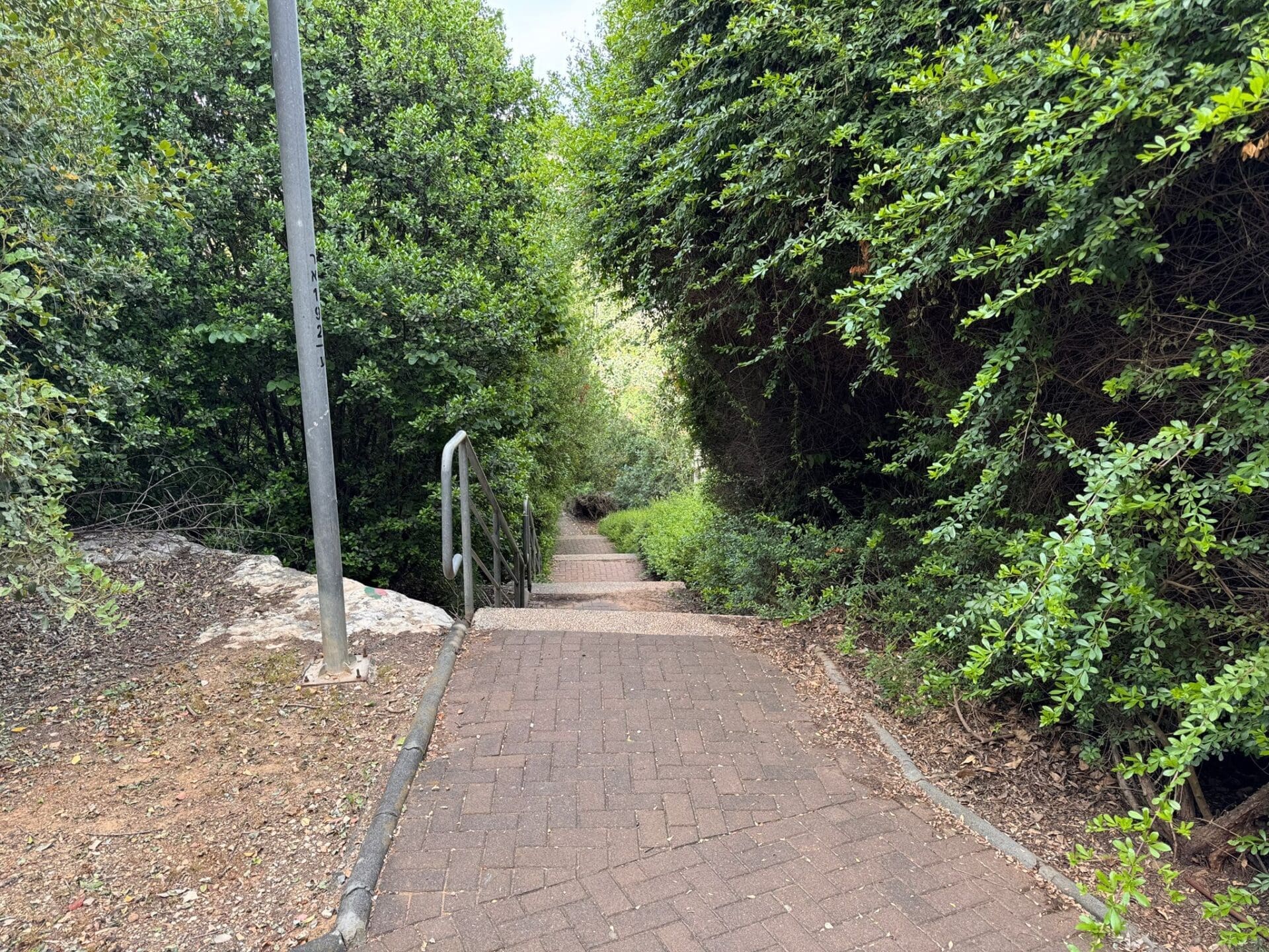 הטיילת הייחודית ברמת אלון: ממשק מיוחד בין העיר ליער 15/5/26 (צילום: ירון כרמי)
