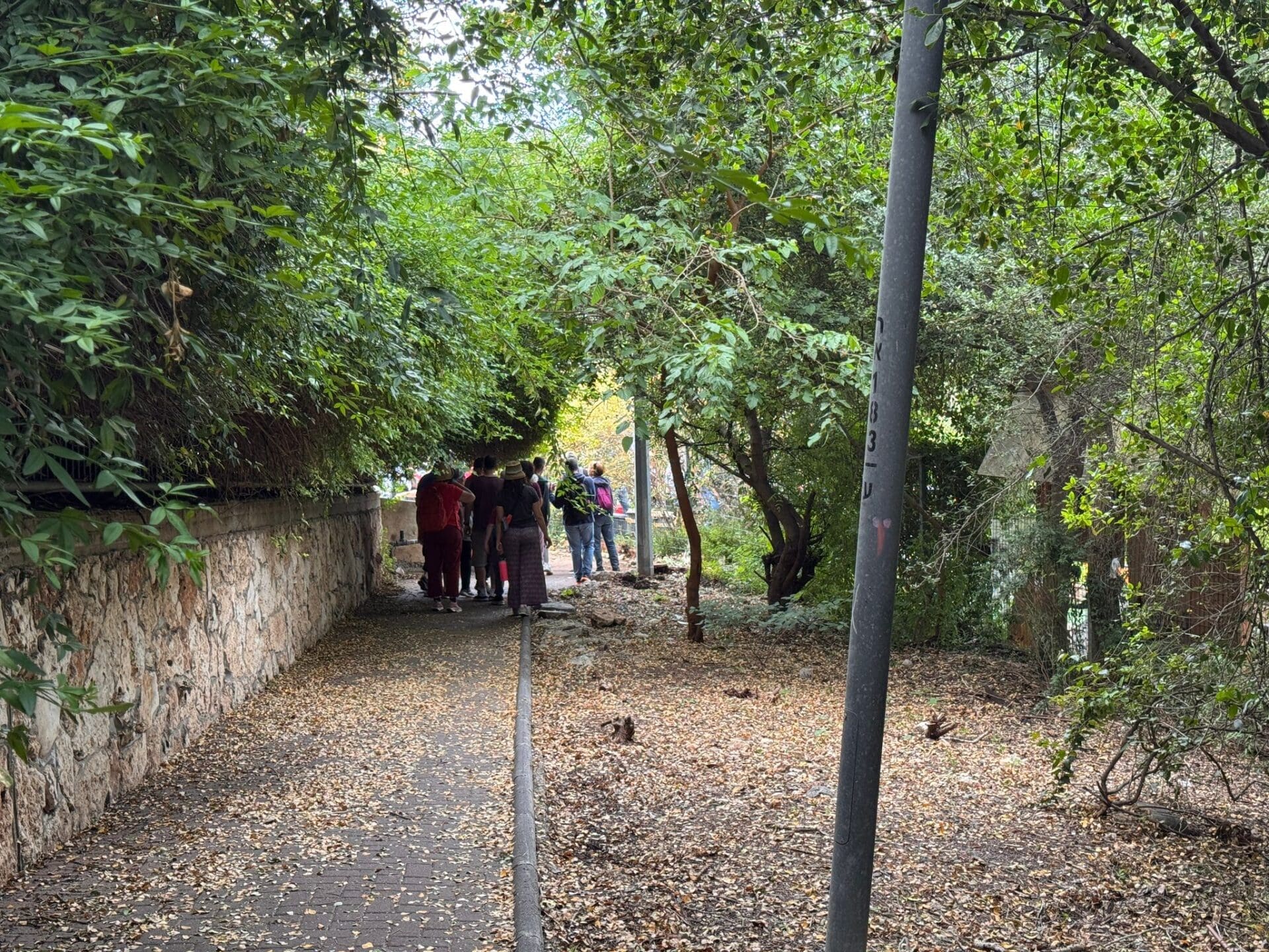 הטיילת הייחודית ברמת אלון: ממשק מיוחד בין העיר ליער 15/5/26 (צילום: ירון כרמי)