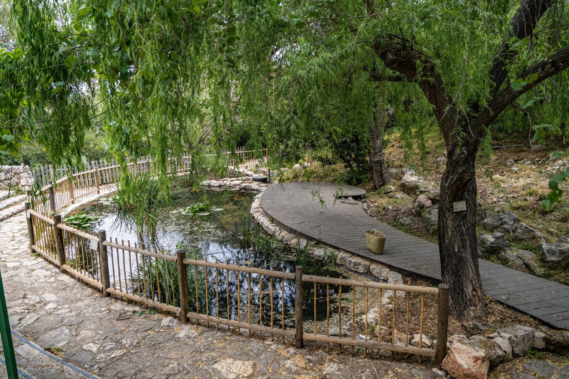 הגן האקולוגי (צילום: אורלי מולה - קיימות טכניון)