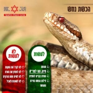 מד״א מזהיר: עונת הנחשים כאן – 49 הכשות מתחילת השנה 24/5/26
