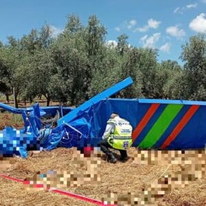 שני גברים נהרגו בהתרסקות מטוס קל סמוך לתל עדשים 24/5/26 (צילום: דוברות זק״א)