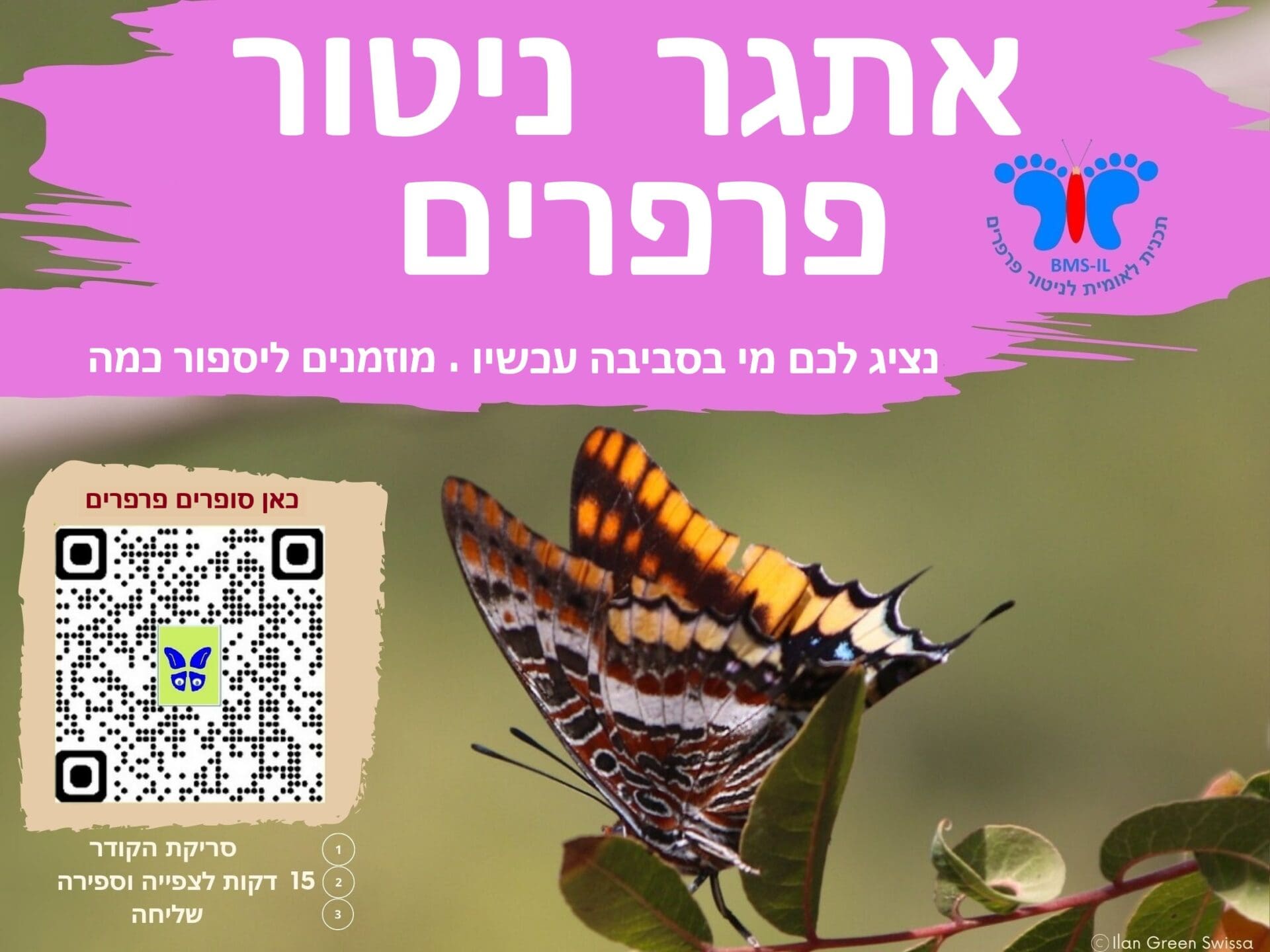 שילוט-אתגר ניטור פרפרים