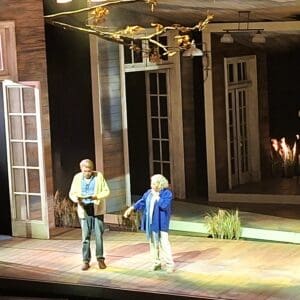 Haipo News The Diary at the Haifa Theater – a musical about love, longing and dementia 260526 (3)