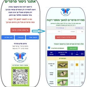 אתגר ניטור פרפרים