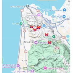 אתגר ניטור פרפרים מפת תצפיות ניטור בכרמל