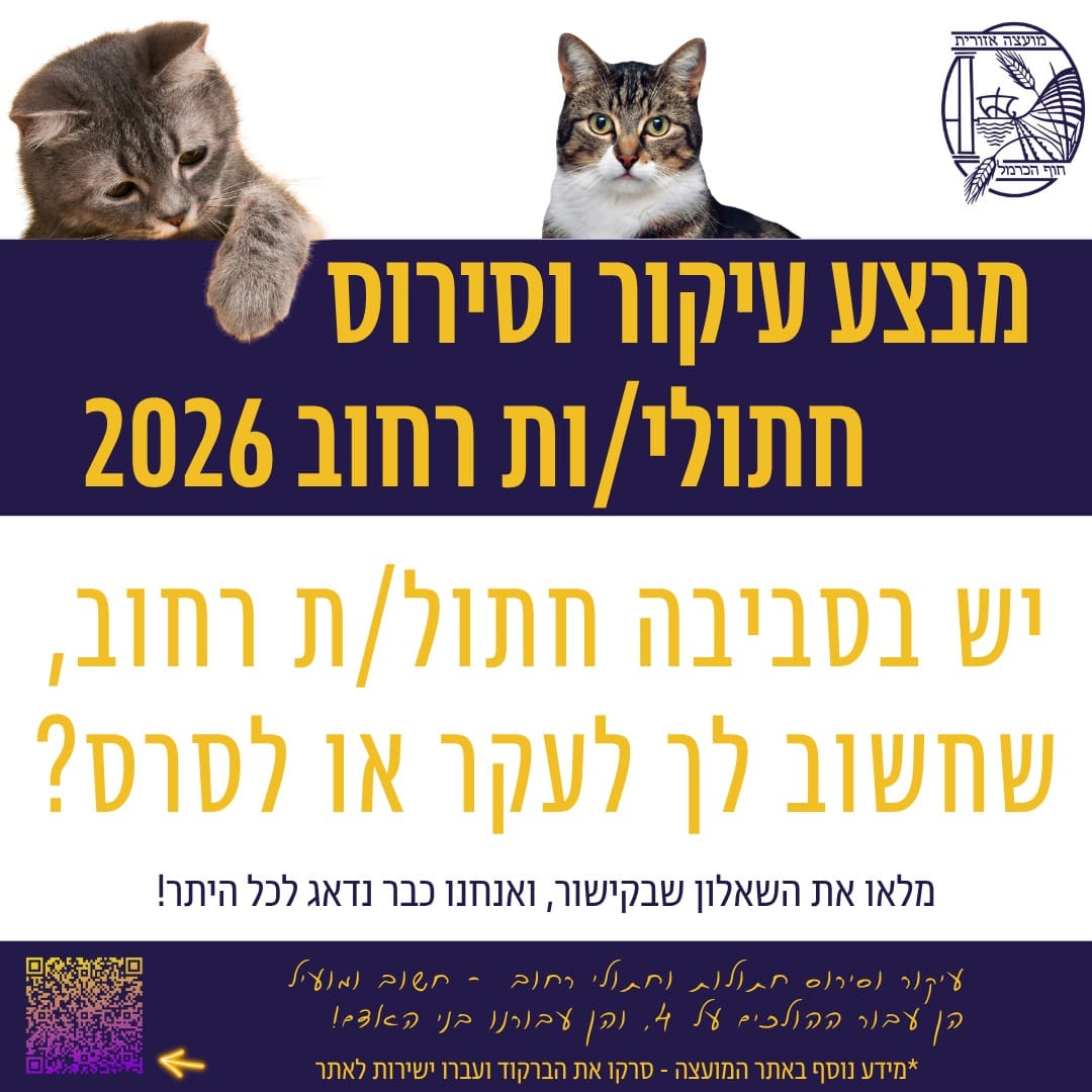 מועצת חוף הכרמל משיקה מבצע עיקור וסירוס חתולי רחוב 2026 26/5/26
