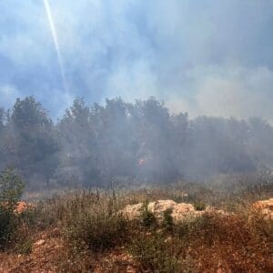 שריפת חורש רחבת ממדים משתוללת על צלע ההר בראש הנקרה 26/5/26 (צילום: כבאות והצלה)