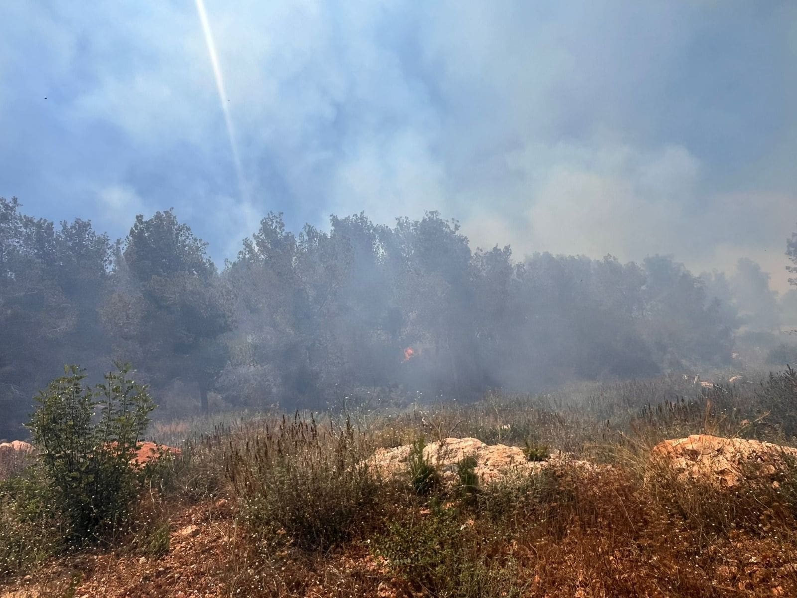 שריפת חורש רחבת ממדים משתוללת על צלע ההר בראש הנקרה 26/5/26 (צילום: כבאות והצלה)