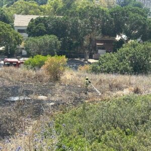 שרפה בשטח פתוח בחיפה: לוחמי האש מנעו התפשטות למבנים – דוברות כבאות והצלה לישראל | מחוז חוף 31/5/26 (צילום: דוברות עיריית חיפה)