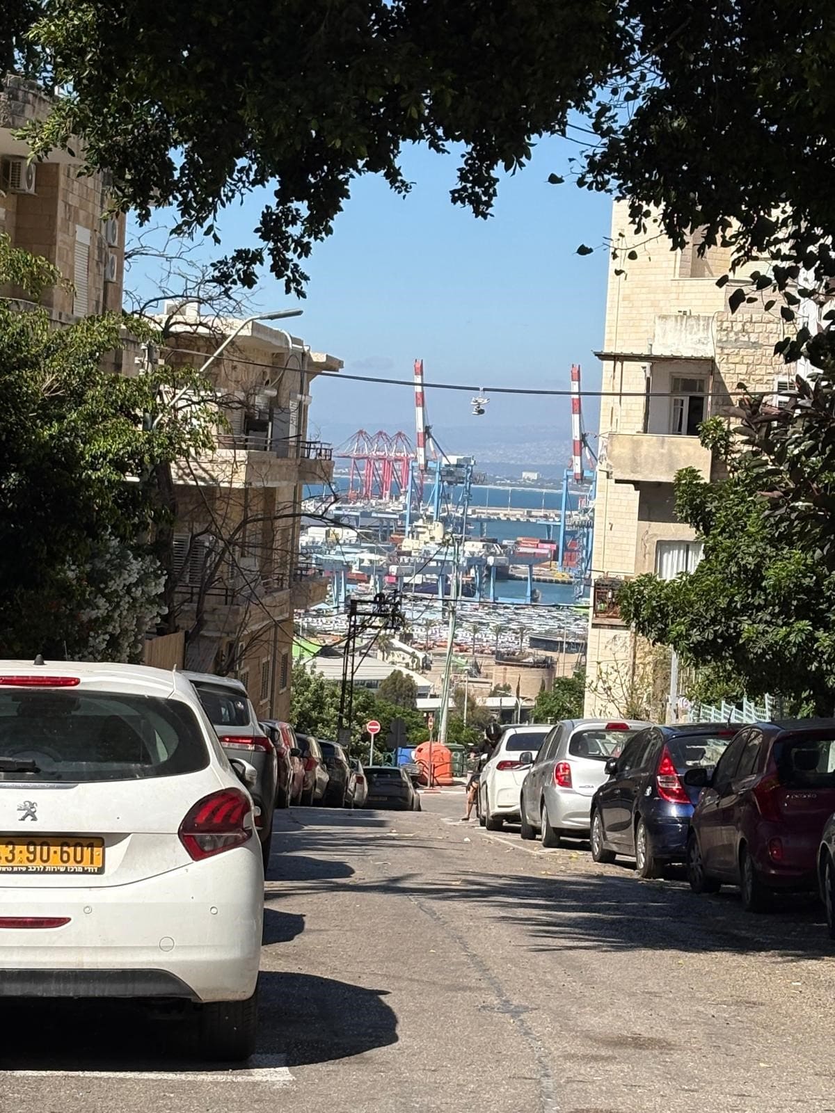 פסטיבל רונדל 2026 - שוק תלפיות במוקד התערוכות (צילום: טל קיזמן)