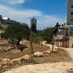 טירת כרמל: שלב א׳ בשיקום נחל גלים הושלם והמרחב נפתח לציבור 3/6/26 (צילום: דוברות עיריית טירת כרמל)