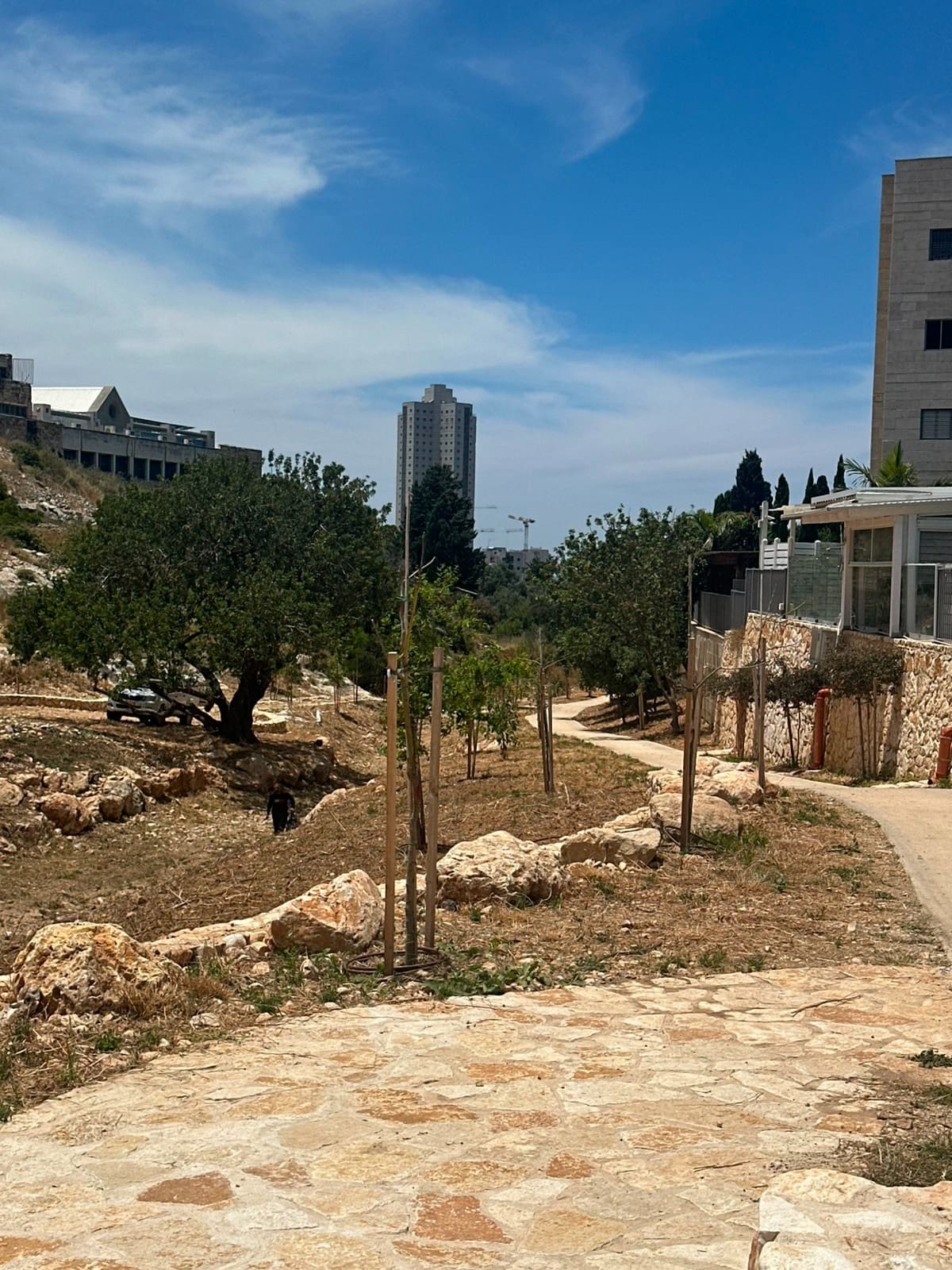 טירת כרמל: שלב א׳ בשיקום נחל גלים הושלם והמרחב נפתח לציבור 3/6/26 (צילום: דוברות עיריית טירת כרמל)