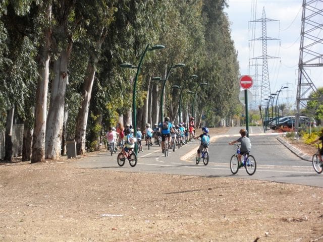 רוכבי אופניים (צילום: אור ירוק)