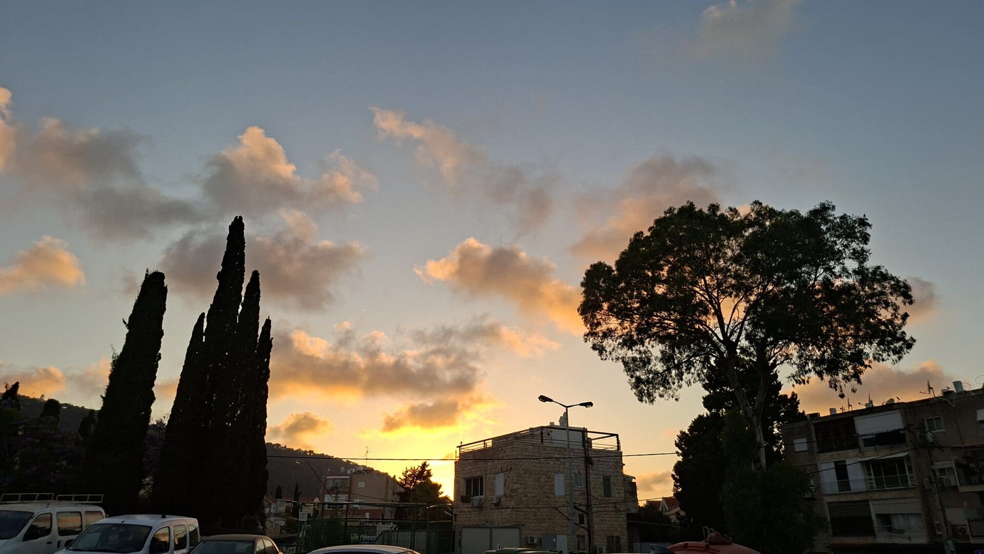 עמותת אלכרמל למוסיקה - הנוף אשר מול בית מרכז המוסיקה (צילום: רחלי אורבך)