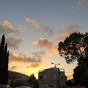 עמותת אלכרמל למוסיקה – הנוף אשר מול בית מרכז המוסיקה (צילום: רחלי אורבך)