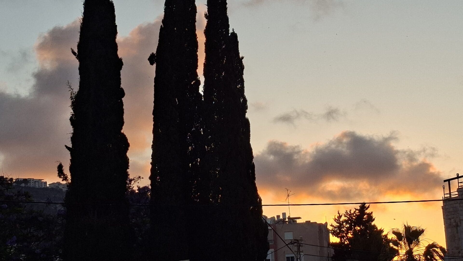 עמותת אלכרמל למוסיקה - שעת בין ערביים בעת קבלת הפנים (צילום: רחלי אורבך)