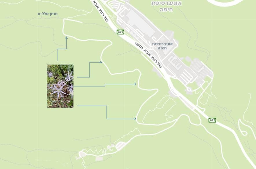 Meeting with a black-haired man • Map courtesy of the Israel Map Center